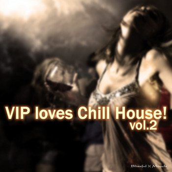 Various Artists - Vip Loves Chill House! Vol.2