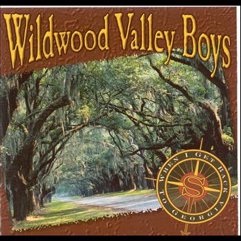 Wildwood Valley Boys - When I Get Back To Georgia