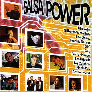 Various Artists - Salsa Power
