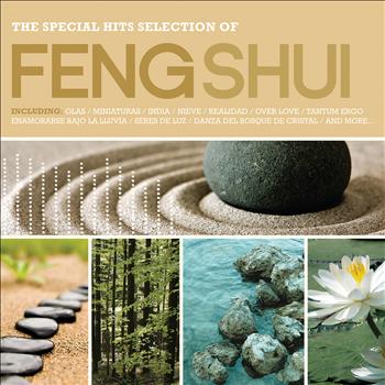 Various Artists - Feng Shui: The Special Hits Selection