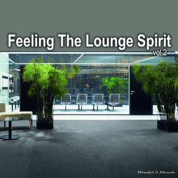Various Artists - Feeling the Lounge Spirit Vol. 2