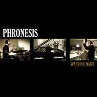 Phronesis - Walking Dark