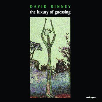 David Binney - The Luxury of Guessing