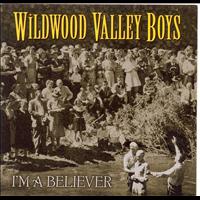 Wildwood Valley Boys - I'm A Believer