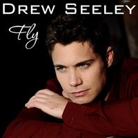 Drew Seeley - Fly