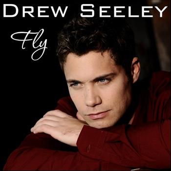 Drew Seeley - Fly