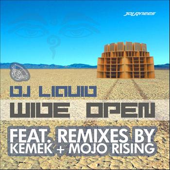 DJ Liquid - Wide Open