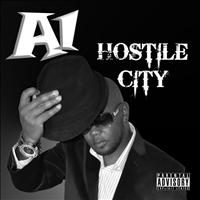 a1 - Hostile City