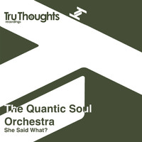 The Quantic Soul Orchestra, Quantic - She Said What?