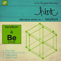 Hint - Laboratory Series No.1: Beryllium