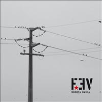 FEV - Nebbia bassa