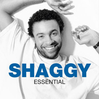 Shaggy - Essential (Explicit)