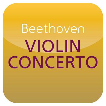Nigel Kennedy/Polish Chamber Orchestra - Beethoven: Violin Concerto ("Masterworks")