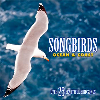 Echoes of Nature: Bird Songs, Calls & Sounds - Songbirds: Ocean & Coast - Over 25 Beautiful Bird Songs & Sounds