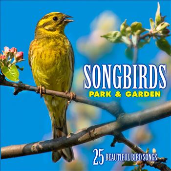 Echoes of Nature: Bird Songs, Calls & Sounds - Songbirds: Park & Garden - Over 25 Beautiful Bird Songs & Sounds