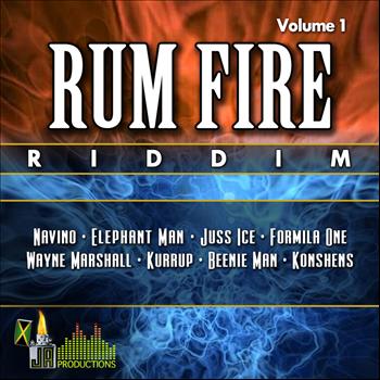 Various Artists - Rum Fire Riddim