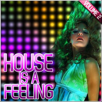 Various Artists - House Is a Feeling, Vol. 2