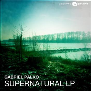 Gabriel Palko - Supernatural