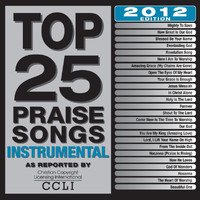 Maranatha! Instrumental - Top 25 Praise Songs Instrumental (2012 Edition)