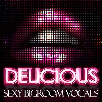 Various Artists - Delicious (Sexy Bigroom Vocals)