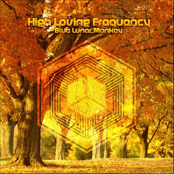 Blue Lunar Monkey - High Loving Frequecy EP