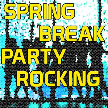 The Hit Nation - Spring Break Party Rocking