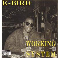 K-Bird - Workin the System