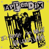 Appendix - Ei Raha Oo Mun Valuuttaa