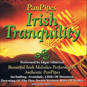 Edgar Villarroel - Panpipes - Irish Tranquility