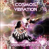 Cosmos Vibration - Cosmos Vibration - Unknown Universe