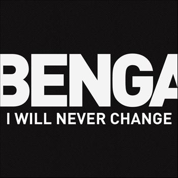 Benga - I Will Never Change (2012)