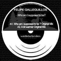 Felipe Galleguillos - Who Am I Supposed To Be?