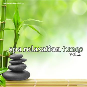 Various Artists - SPA Relaxation Tunes Vol.2