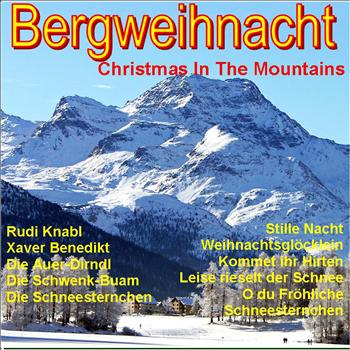 Various Artists - Bergweihnacht (Christmas In The Mountains)