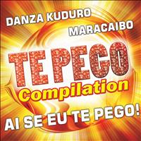 Various Artists - Te Pego Compilation - Afro Latina