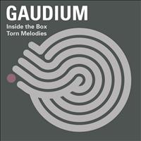 Gaudium - Torn Melodies