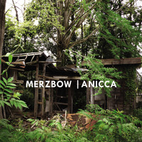 Merzbow - Anicca