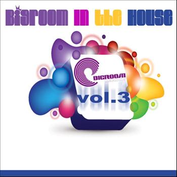 Various Artists - Big Room In The House Volume 3 (WMC Edition)