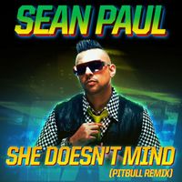 Sean Paul - She Doesn't Mind