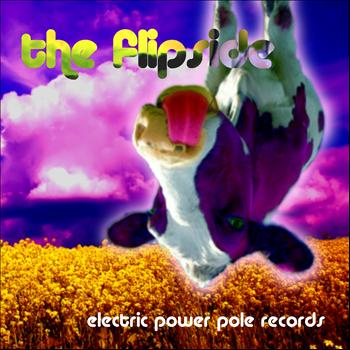 Various Artists - The Flip Side (Explicit)