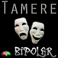 Tamere - Soul Shift Music: Bipolar