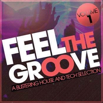 Various Artists - Feel The Groove, Volume. 1 (A Blistering House and Tech Selection)