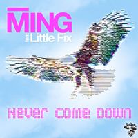Ming - Never Come Down feat. Little Fix