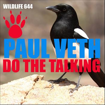 Paul Veth - Do the Talking
