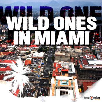 Various Artists - Wild Ones in Miami
