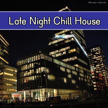 Various Artists - Late Night Chill House