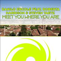 Danilo Ercole featuring Roberta Harrison and Steven Taetz - Meet You Where You Are