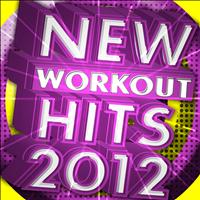 Cardio Workout Crew - New Workout Hits 2012