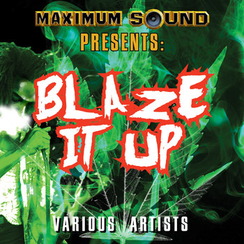 Various Artists - Blaze It Up