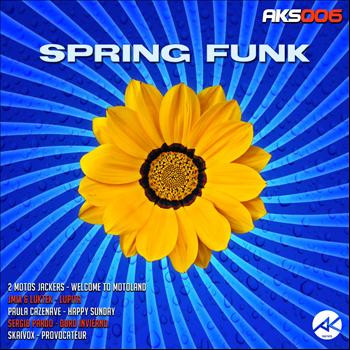 Various Artists - Spring Funk